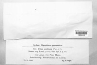 Image Associated With the Occurence